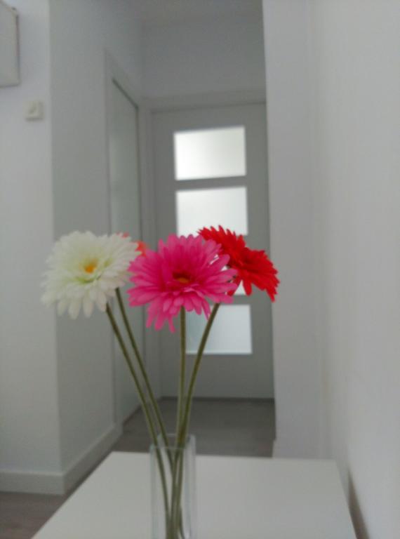 Apartamento Carabanchel Castizo مدريد المظهر الخارجي الصورة